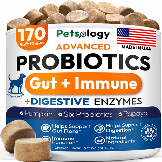 Probiotic Digestive Health Chews