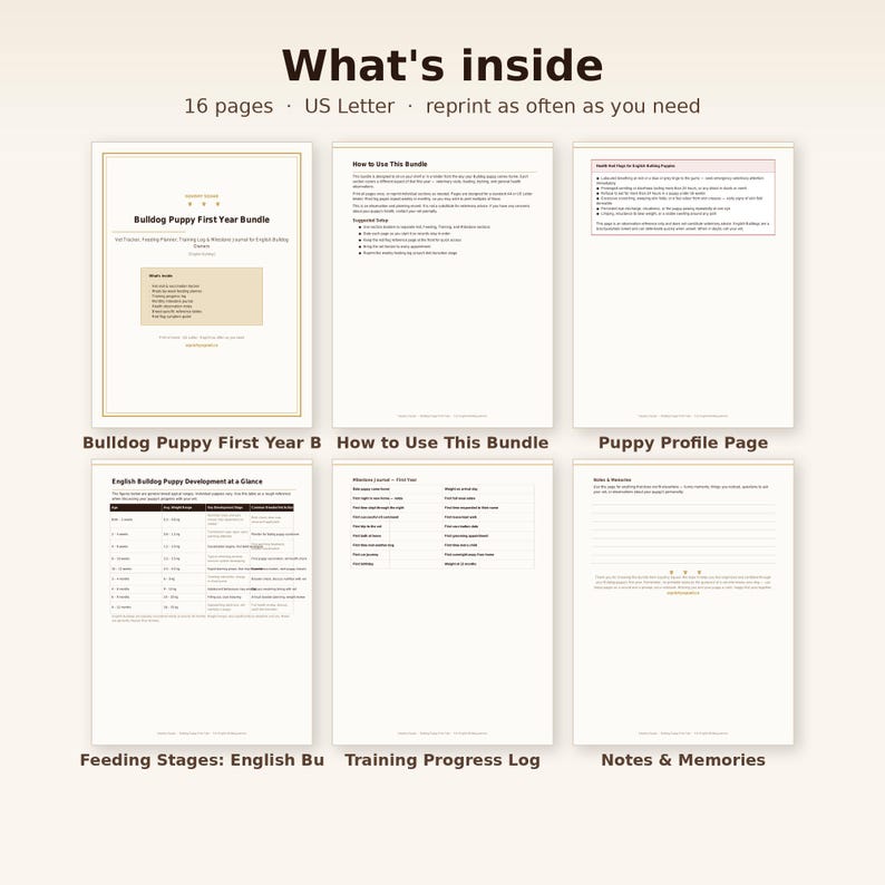 Bulldog puppy development reference table