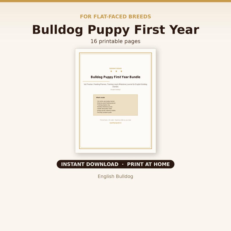 English Bulldog Puppy First Year Bundle cover