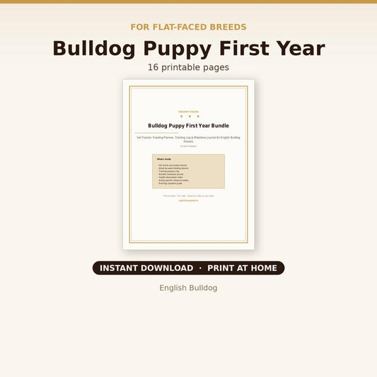 English Bulldog Puppy First Year Bundle cover
